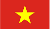 Vietnamese Icon